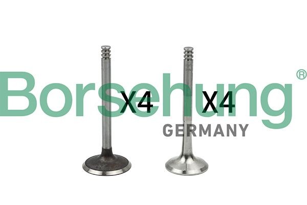 Borsehung Ventil B18766 Borsehung B18766 VW Bora Variant Ac ekspansionsventil pris