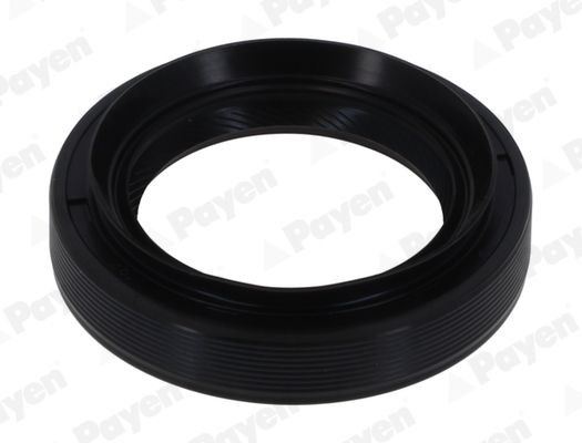 PAYEN Wellendichtring, Differential NA5480 Differential-Dichtung PAYEN Opel OMEGA NA5480