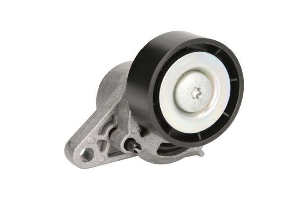 BTA Napínacia kladka rebrovaného klinového remeňa E3R0001BTA E3R0001BTA Napínacia kladka RENAULT KANGOO BTA