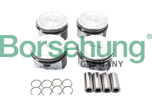 Borsehung Stempel B18670 Motor stempel Borsehung Mitsubishi PAJERO B18670