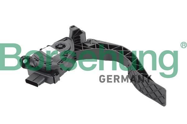 Borsehung Kit pedale acceleratore B18727 B18727 costo Pedale acceleratore Borsehung NISSAN KUBISTAR