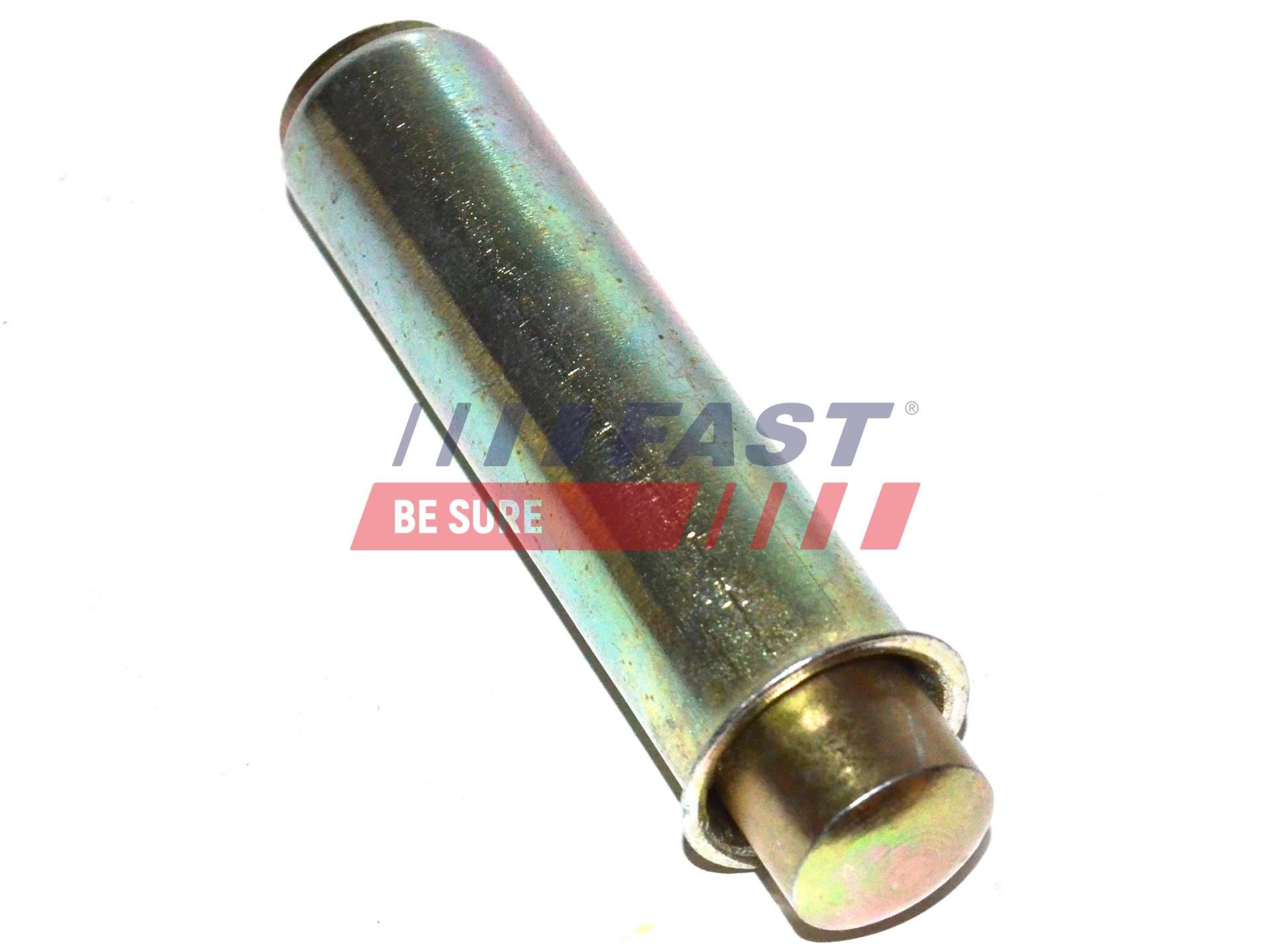 FAST Smorzatore vibrazioni, Cinghia dentata FT44081 FAST FT44081 Smorzatore vibrazioni, cinghia dentata Seat Cordoba 6K1 originale prezzo