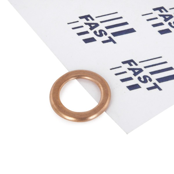 FAST Blīve, Eļļas ieliešanas kakliņš FT94721 FAST FT94721 Blīve, eļļas ieliešanas kakliņš GLK X204 orģinālās cena
