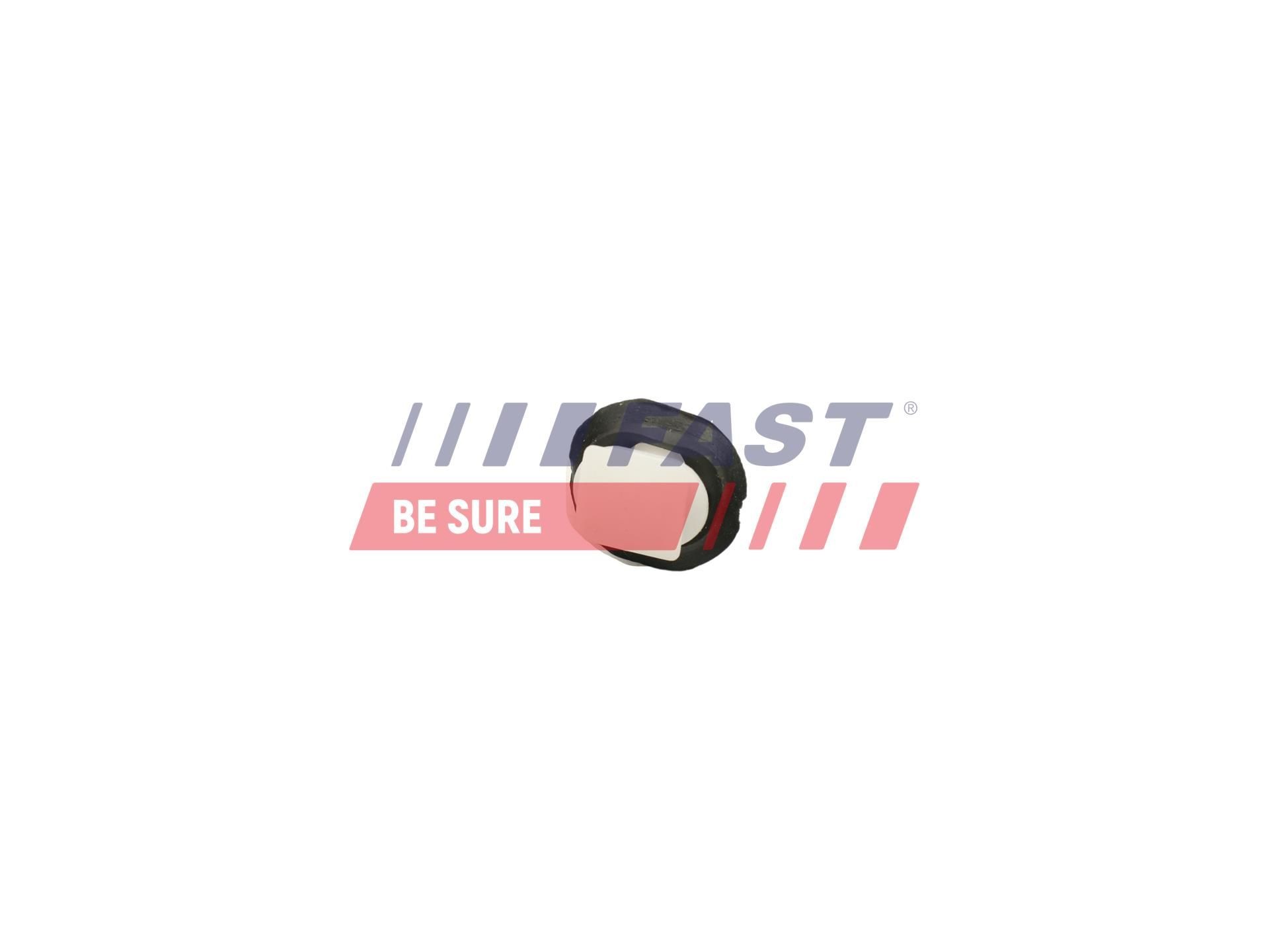 Clip, list FAST FT96300 FAST FT96300 Dörrlister SSANGYONG MUSSO 2010