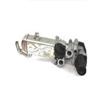 ASSO EGR-ventil 70.0001 ASSO EGR ventil LAND ROVER 70.0001