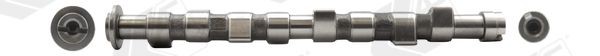 AE Kamaxel CAM1000 Byta Kamaxel FIAT Palio I Hatchback (178) kostnad AE CAM1000