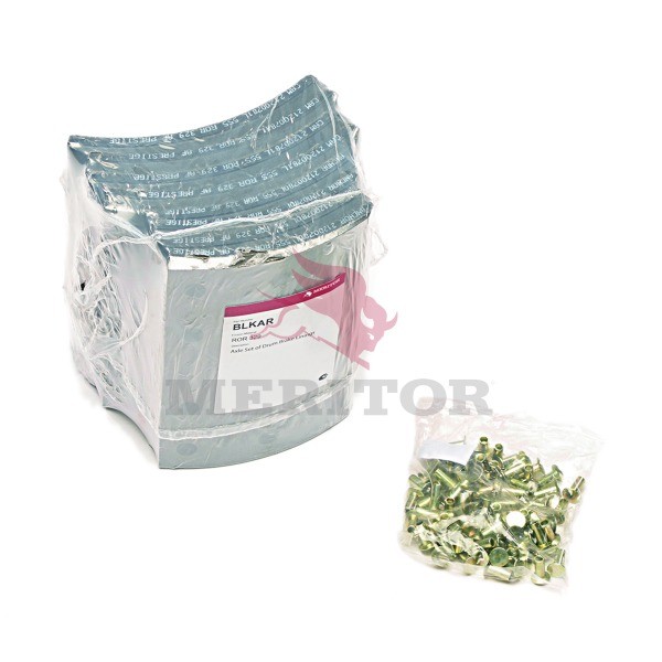 MERITOR Σετ θερμουίτ, ταμπουρόφρενα BLKAR BLKAR Σιαγωνες φρενων AUDI 80 MERITOR