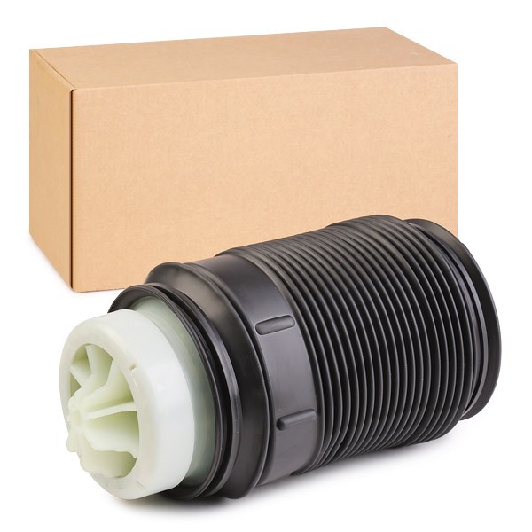 RIDEX Õhkpadi 4119A0029 Lõõts,õhkvedrustus RIDEX Hyundai SONATA 4119A0029