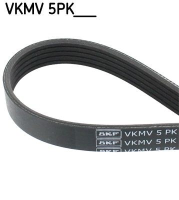 SKF Multiriem VKMV 5PK1125 Poly-V-snaar SKF RENEGADE VKMV 5PK1125 goedkoop
