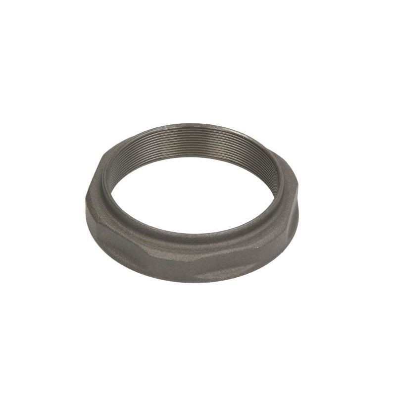 JOST Nut, stub axle JAE0120900150 JOST JAE0120900150 Rover 25 RF nut, stub axle price