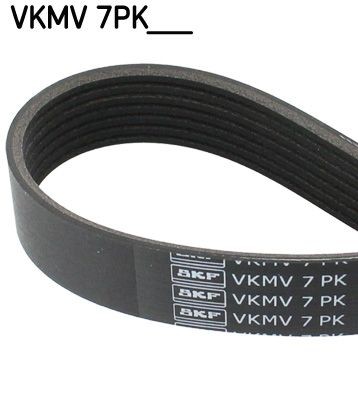 Cinghia servizi SKF VKMV 7PK1640 SKF VKMV 7PK1640 Cinghia Poly-V Nissan PATROL 2000