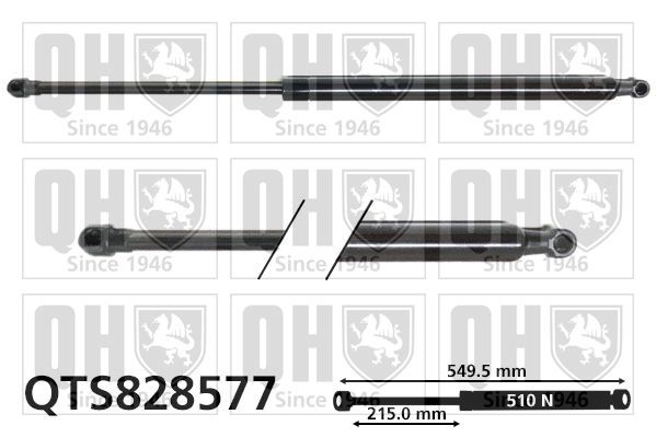 Gasveer achterklep QUINTON HAZELL QTS828577 QUINTON HAZELL QTS828577 Gasveer kofferruimte Renault KADJAR 2020