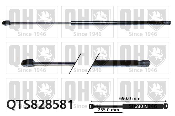QUINTON HAZELL Ammortizzatore pneumatico cofano motore QTS828581 QUINTON HAZELL QTS828581 Pistoncini cofano VW Tiguan 2 AD1 originali prezzo