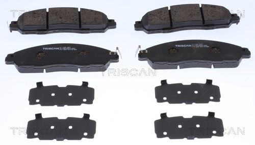 TRISCAN Brake pad set 8110 14067 8110 14067 TRISCAN brake pads for RENAULT SYMBOL / THALIA