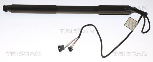 TRISCAN Ammortizatore pneumatico, Cofano bagagli / vano carico 8710 11303 8710 11303 Pistoni portellone BMW i8 TRISCAN costo
