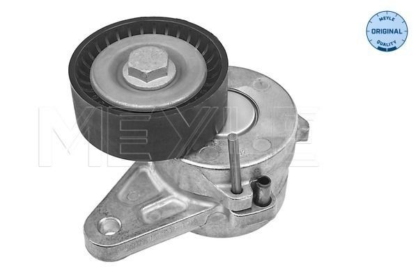 MEYLE Tenditore cinghia servizi 100 903 1125 100 903 1125 costo Tenditore cinghia servizi RENAULT SCÉNIC MEYLE