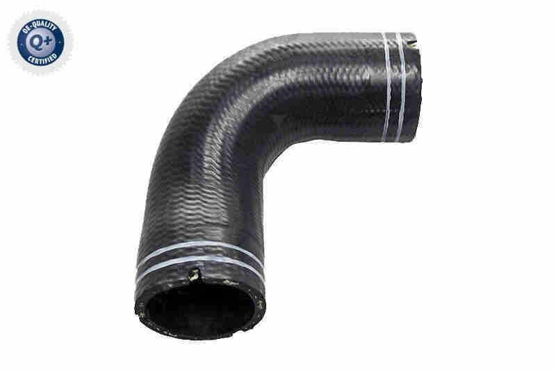 VAICO Slange, veivhuslufting V24-1063 VAICO V24-1063 Ventil veivhusventilasjon Alfa Romeo 146 930 billige