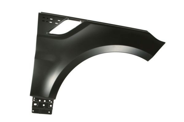 BLIC Skärm 6504-04-2002312P Byta Skärm LAND ROVER Range Rover Sport (L461) kostnad BLIC 6504-04-2002312P