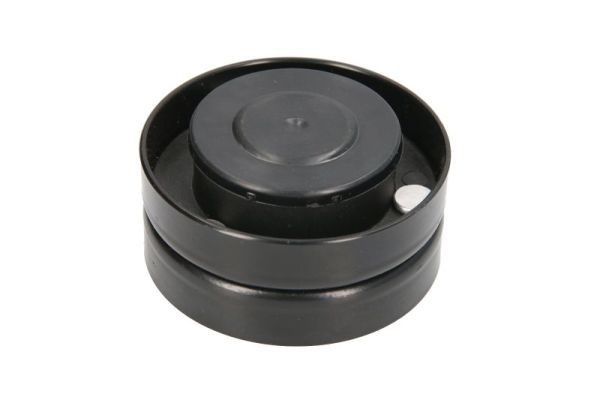 BTA Umlenkrolle Keilriemen B05-AG-079 B05-AG-079 Umlenk- / Führungsrolle, Keilriemen MITSUBISHI LANCER BTA kaufen