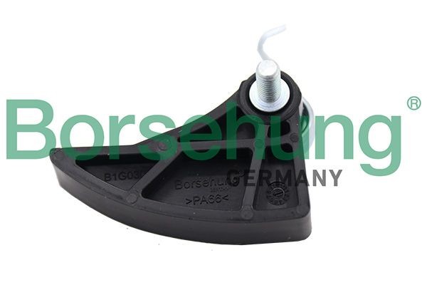 Borsehung Ķēdes spriegotājmehānisms, Eļļas sūkņa piedziņa B1G030 B1G030 Piedziņas ķēde FORD S-MAX Borsehung
