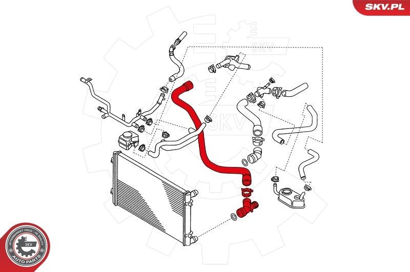 ESEN SKV Flessibile radiatore 24SKV344 24SKV344 costo Tubi radiatore ESEN SKV Volkswagen SHARAN