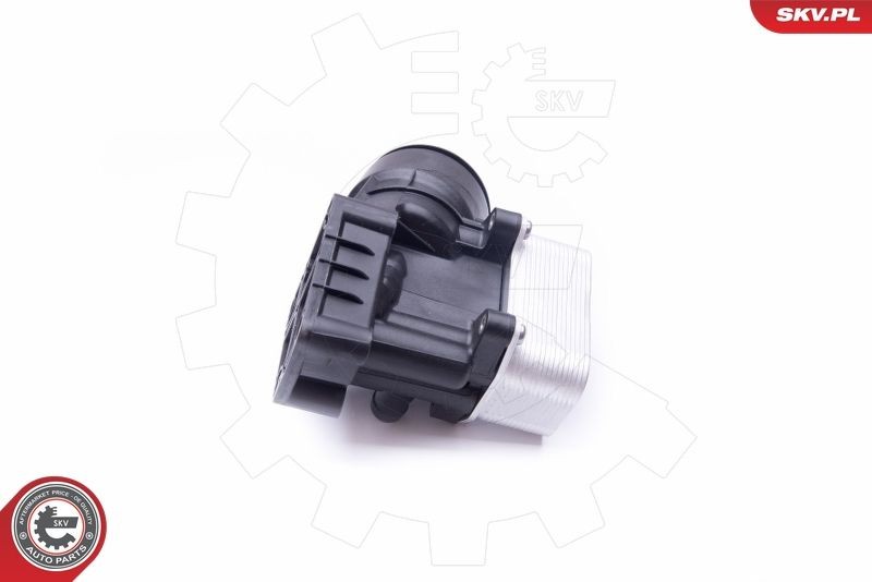 ESEN SKV Radiatore olio motore 31SKV054 31SKV054 ESEN SKV Radiatore raffreddamento olio LAND ROVER prezzo