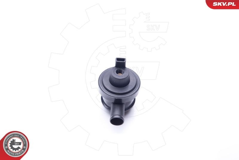 ESEN SKV Ventil, veivhuslufting 31SKV096 ESEN SKV 31SKV096 Drivstofftrykkregulator Audi 200 Sedan pris