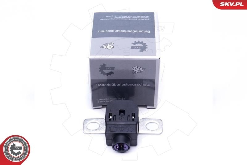 ESEN SKV Sensor, accumanagement 96SKV300 ESEN SKV 96SKV300 Sensor, accumanagement