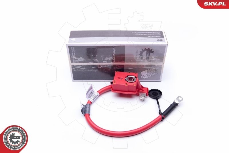ESEN SKV Forbindelseskabel, starterbatteri 96SKV302 96SKV302 Bilbatteri BMW 4-serie ESEN SKV