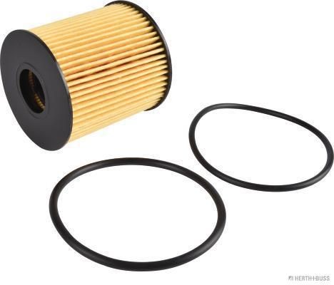 Filtro olio HERTH+BUSS JAKOPARTS J1315030 HERTH+BUSS JAKOPARTS J1315030 Filtro olio motore Citroën C8 2013