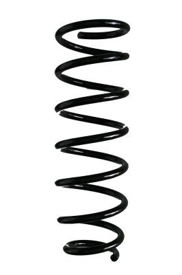 SPIDAN Chassisveer 87809 Schroefveer SPIDAN STARLET 87809 goedkoop