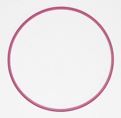 ELRING Dichtring, cilinderbus 003.881 Cilindervoering ELRING ATOS 003.881 goedkoop