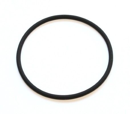 ELRING Guarnizione, Termostato 290.860 ELRING 290.860 Guarnizione termostato LANCIA YPSILON prezzo
