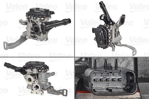 VALEO Βαλβίδα AGR 700455 Βαλβίδα ανακύκλωσης καυσαερίων VALEO Ford TRANSIT CONNECT 700455