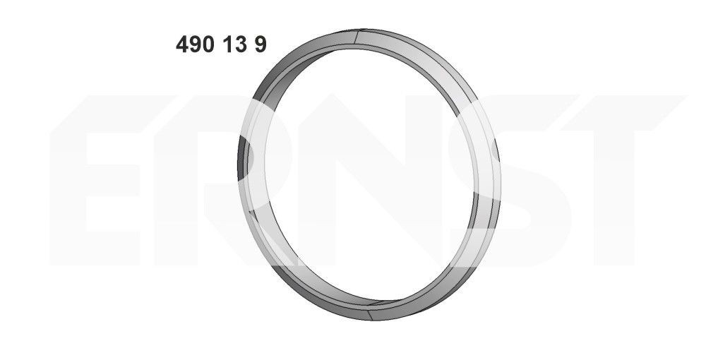 ERNST Anello tenuta, Tubo gas scarico 490139 490139 costo Guarnizione scarico DAIHATSU WILDCAT/ROCKY ERNST