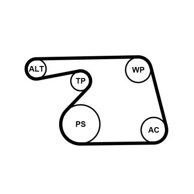 CONTITECH Vodné čerpadlo + sada klinového remeňa 6PK1318WP1 Sada klinového rebrovaného remena CONTITECH Fiat MULTIPLA 6PK1318WP1
