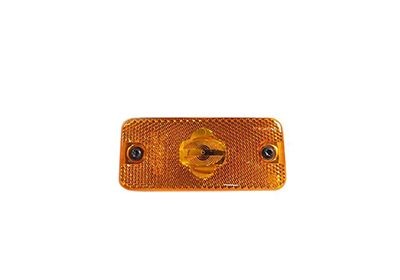 VAN WEZEL Luz de presença lateral 0983919 Intermitentes Fiat 169 0983919 VAN WEZEL