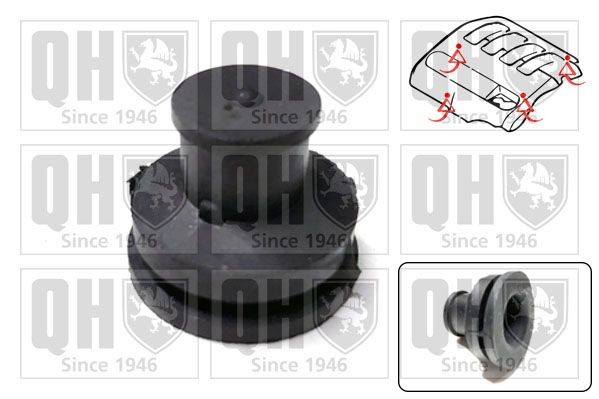 QUINTON HAZELL Anslagsbuffer, motortildekning EM4846 QUINTON HAZELL EM4846 originale Motor- / understellbeskyttelse Citroën C3 Pluriel hva koster