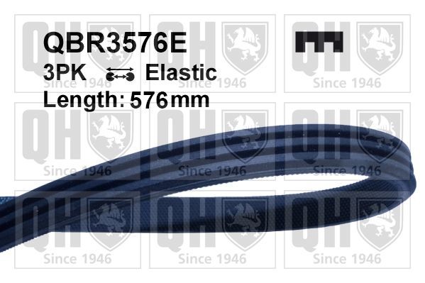 QUINTON HAZELL Multiriem QBR3576E QUINTON HAZELL QBR3576E Multisnaar Corsa Mk5 (F) prijs