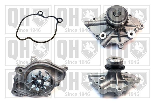 Pompe à eau QUINTON HAZELL QCP3924 QUINTON HAZELL QCP3924 Pompe à eau SUBARU TRIBECA 2022