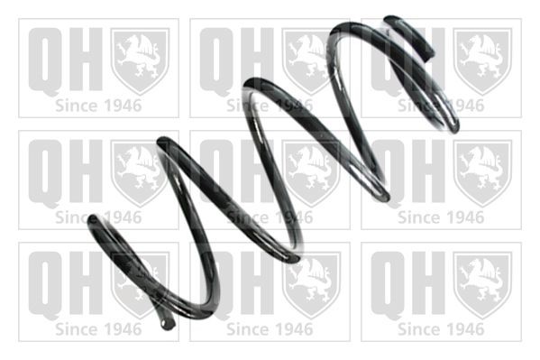 Mola de suspensão QUINTON HAZELL QCS8406 QUINTON HAZELL QCS8406 Molas FIAT PUNTO 2000