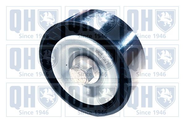 QUINTON HAZELL Vratná / vodiaca kladka rebrovaného klinového remeňa QTA1587 QUINTON HAZELL QTA1587 Vodiaca kladka Ford B-MAX originálne