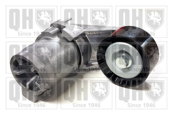 QUINTON HAZELL Spannrolle, Keilrippenriemen QTA1598 QTA1598 Spannrolle BMW 2er QUINTON HAZELL kaufen