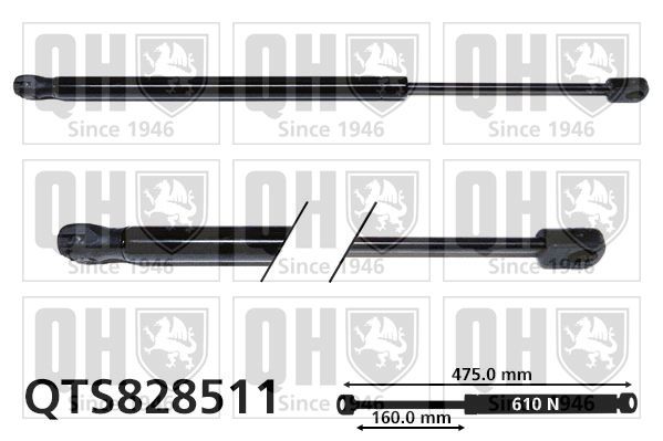 QUINTON HAZELL Ammortizatore pneumatico, Cofano bagagli / vano carico QTS828511 QTS828511 costo Pistoni portellone HYUNDAI IONIQ QUINTON HAZELL