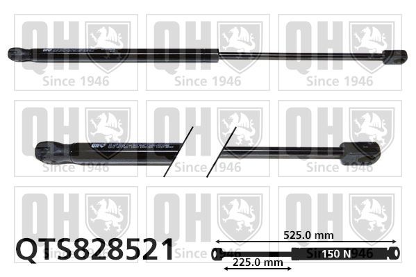 Tailgate strut QUINTON HAZELL QTS828521 QUINTON HAZELL QTS828521 VW AMAROK 2013 tailgate struts price