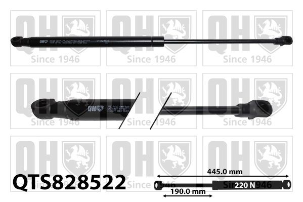 Gas Spring, rear windscreen QUINTON HAZELL QTS828522 QUINTON HAZELL QTS828522 2013 VW AMAROK tailgate struts replacement
