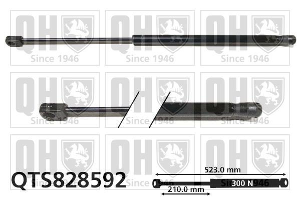QUINTON HAZELL Bagklapsdæmper QTS828592 Dæmper til bagklap QUINTON HAZELL 124-serie QTS828592 billig