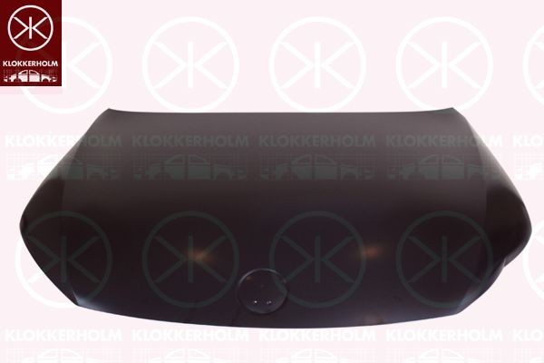 KLOKKERHOLM Motora pārsegs 9519280 KLOKKERHOLM Капот двигателя JAGUAR 9519280