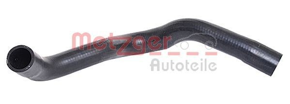 METZGER Kühlerschlauch 2420013 2420013 METZGER Kühlwasserschlauch FORD C-MAX kaufen