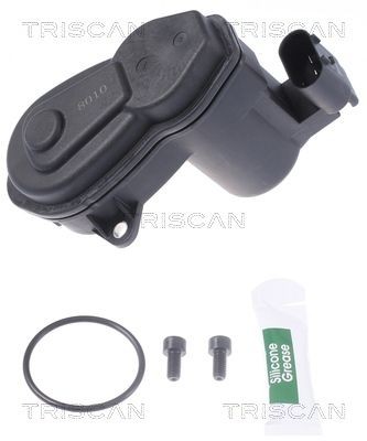 TRISCAN Control Element, parking brake caliper 8170 208010 8170 208010 TRISCAN handbrake shoes for BMW X5